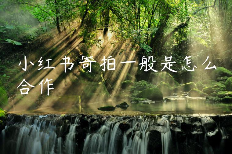 小红书寄拍一般是怎么合作 小红书寄拍一般是怎么合作