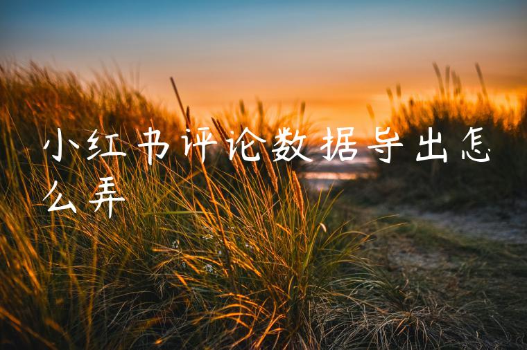 小红书评论数据导出怎么弄 小红书评论数据导出怎么弄