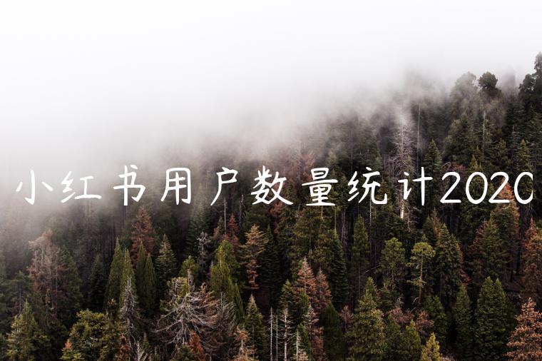 小红书用户数量统计2020 小红书用户数量统计2020