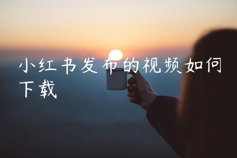 小红书发布的视频如何下载