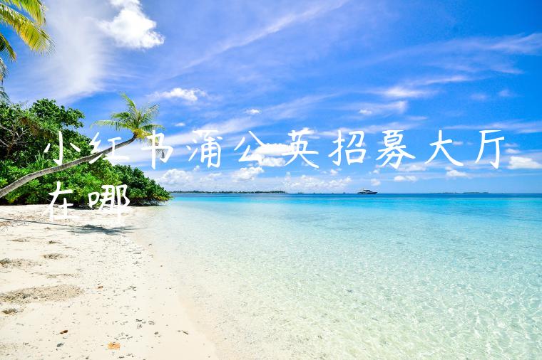 小红书蒲公英招募大厅在哪 小红书蒲公英招募大厅在哪
