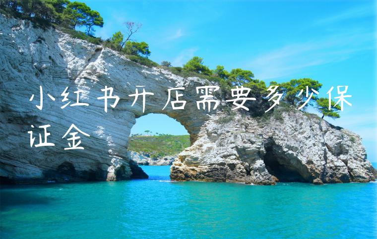 小红书开店需要多少保证金 小红书开店需要多少保证金