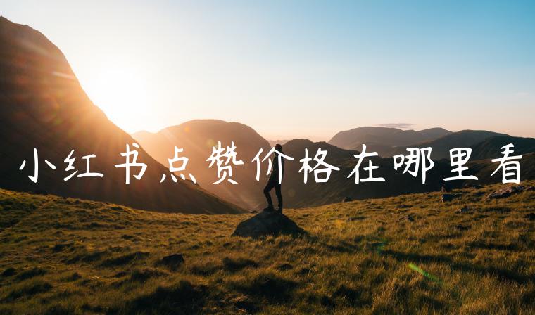 小红书点赞价格在哪里看