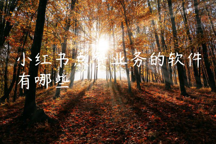 小红书点赞业务的软件有哪些 小红书点赞业务的软件有哪些