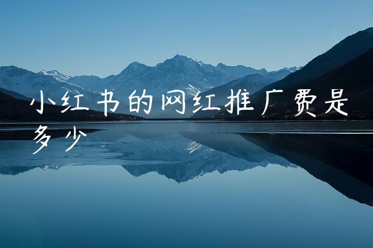 小红书的网红推广费是多少