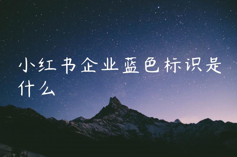 小红书企业蓝色标识是什么