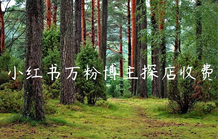 小红书万粉博主探店收费