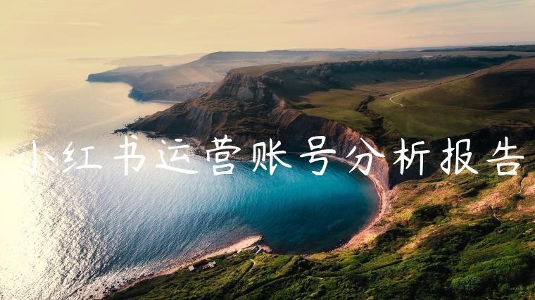 小红书运营账号分析报告 小红书运营账号分析报告