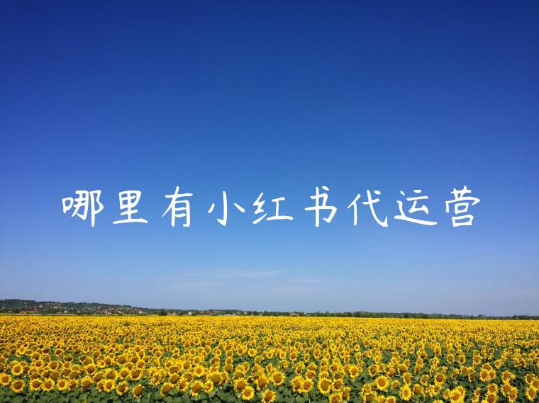 哪里有小红书代运营 哪里有小红书代运营
