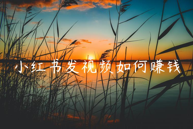 小红书发视频如何赚钱