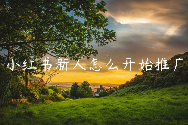 小红书新人怎么开始推广 小红书新人怎么开始推广