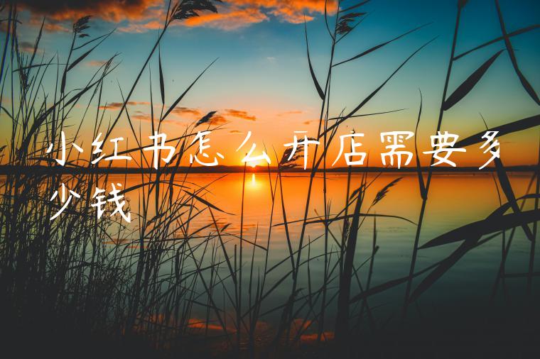 小红书怎么开店需要多少钱