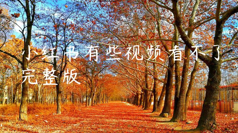 小红书有些视频看不了完整版 小红书有些视频看不了完整版