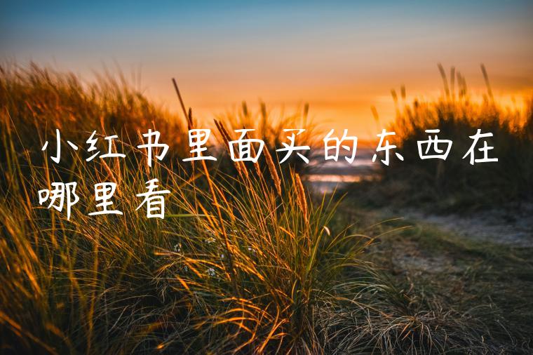 小红书里面买的东西在哪里看 小红书里面买的东西在哪里看