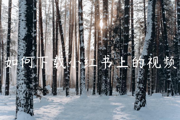 如何下载小红书上的视频 如何下载小红书上的视频