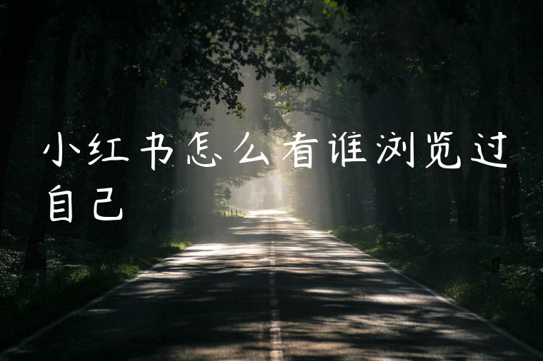 小红书怎么看谁浏览过自己 小红书怎么看谁浏览过自己