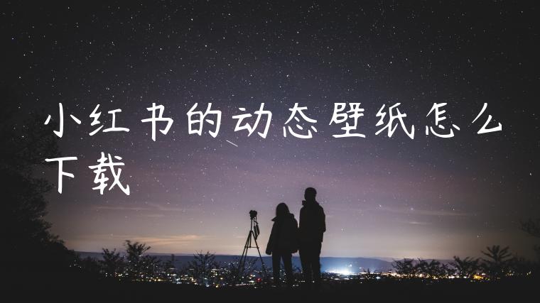 小红书的动态壁纸怎么下载