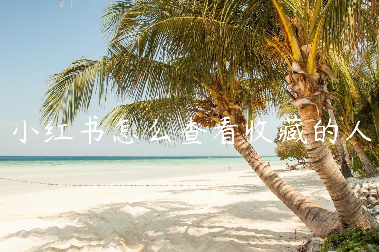 小红书怎么查看收藏的人 小红书怎么查看收藏的人