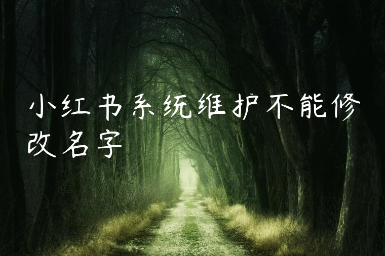 小红书系统维护不能修改名字