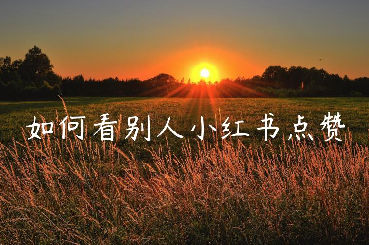 如何看别人小红书点赞 如何看别人小红书点赞