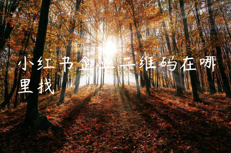 小红书企业二维码在哪里找 小红书企业二维码在哪里找