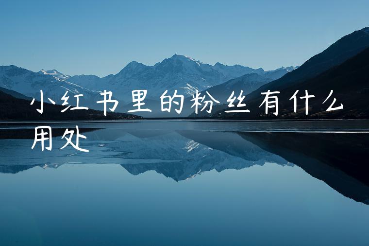 小红书里的粉丝有什么用处