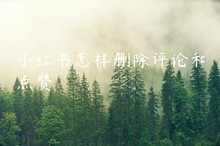 小红书怎样删除评论和点赞