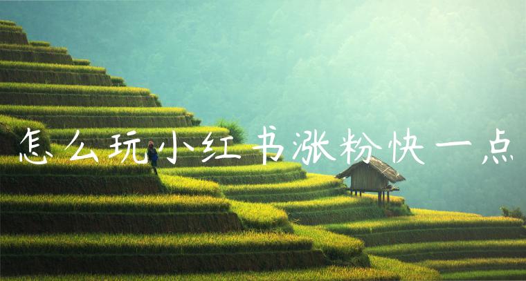 怎么玩小红书涨粉快一点