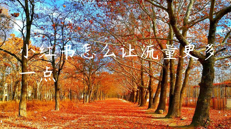 小红书怎么让流量更多一点 小红书怎么让流量更多一点