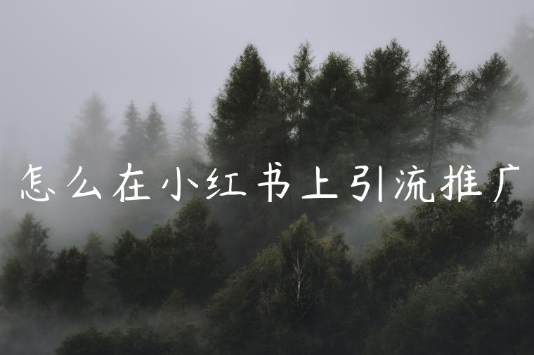 怎么在小红书上引流推广