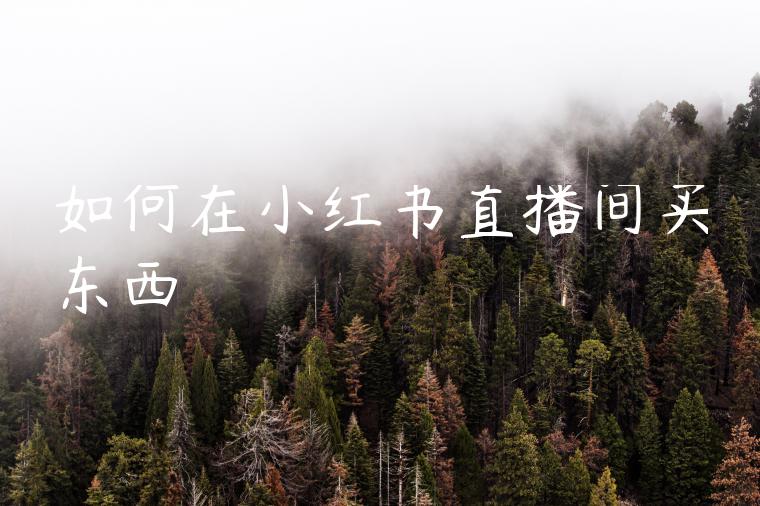 如何在小红书直播间买东西 如何在小红书直播间买东西