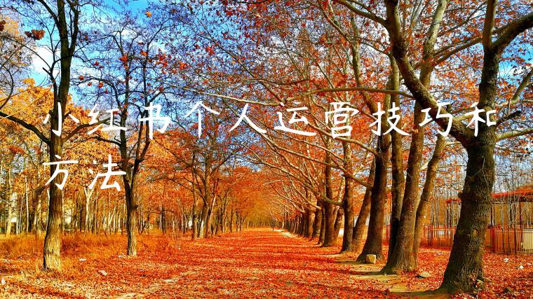 小红书个人运营技巧和方法 小红书个人运营技巧和方法