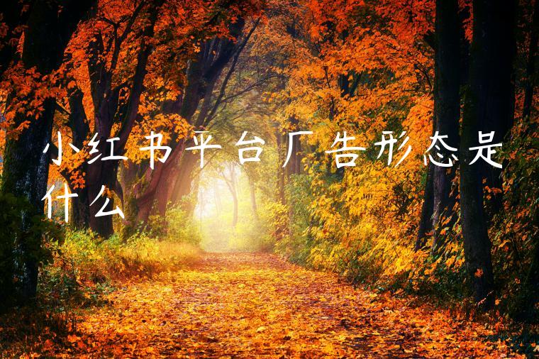 小红书平台广告形态是什么 小红书平台广告形态是什么