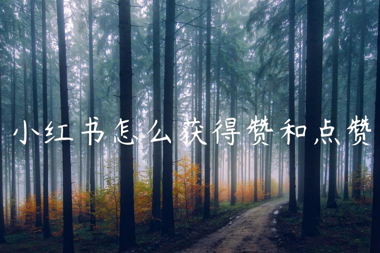 小红书怎么获得赞和点赞 小红书怎么获得赞和点赞