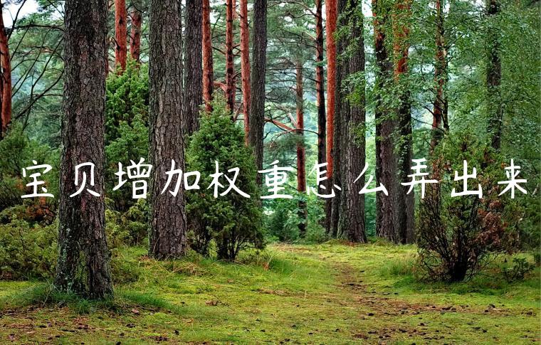 宝贝增加权重怎么弄出来