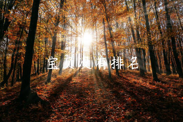宝贝没有排名