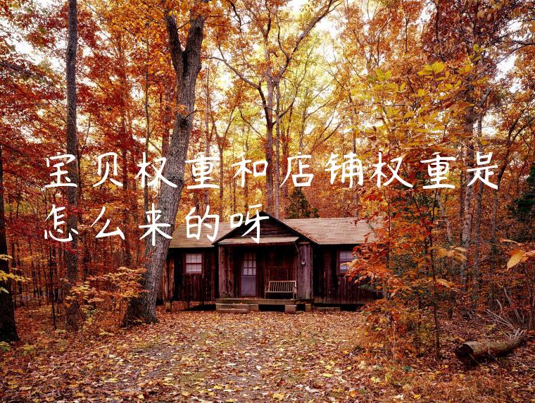 宝贝权重和店铺权重是怎么来的呀