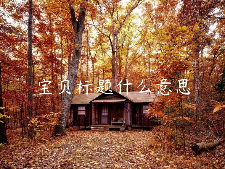 宝贝标题什么意思