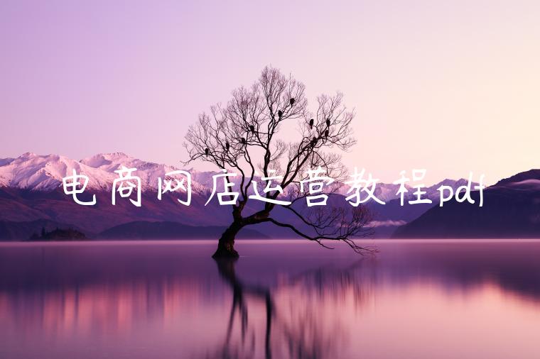 电商网店运营教程pdf 电商网店运营教程pdf