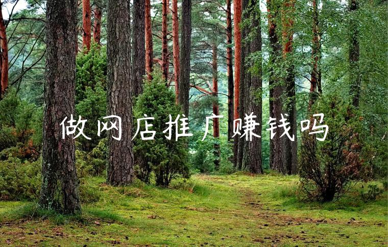 做网店推广赚钱吗