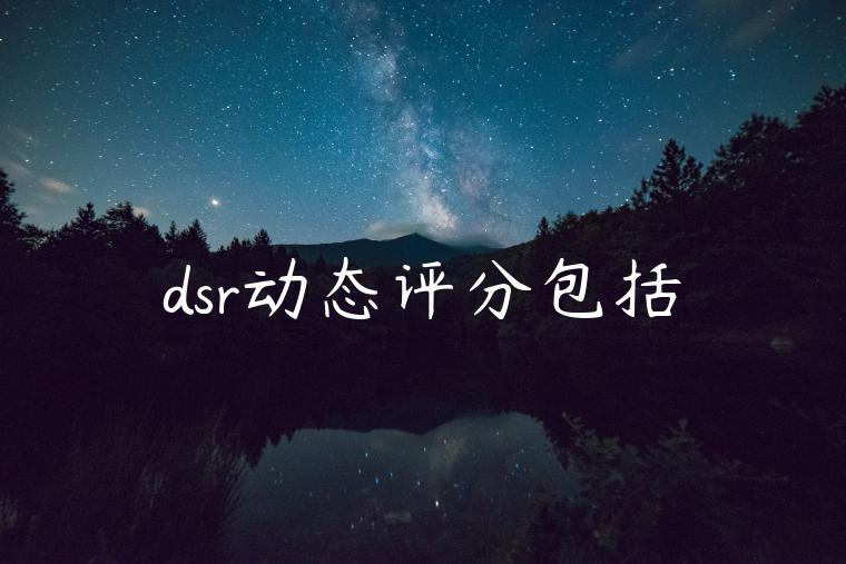 dsr动态评分包括