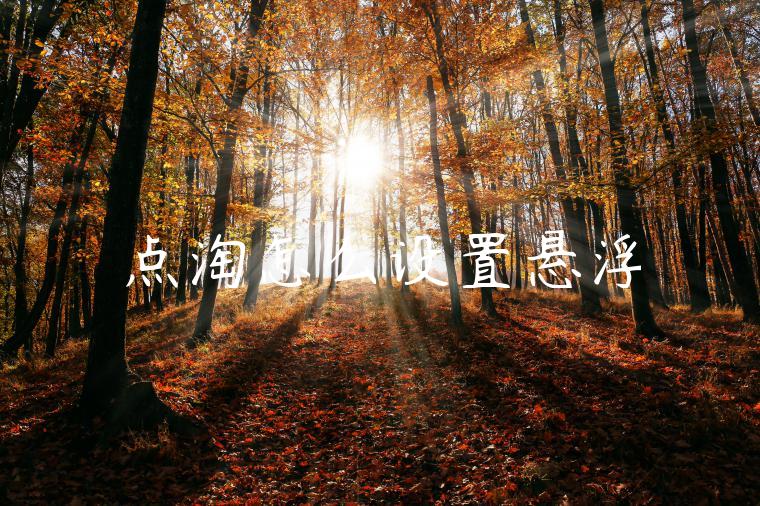 点淘怎么设置悬浮