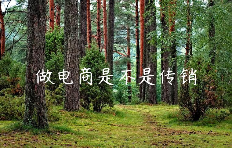 做电商是不是传销