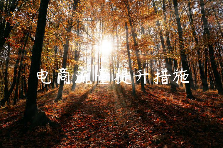 电商流量提升措施