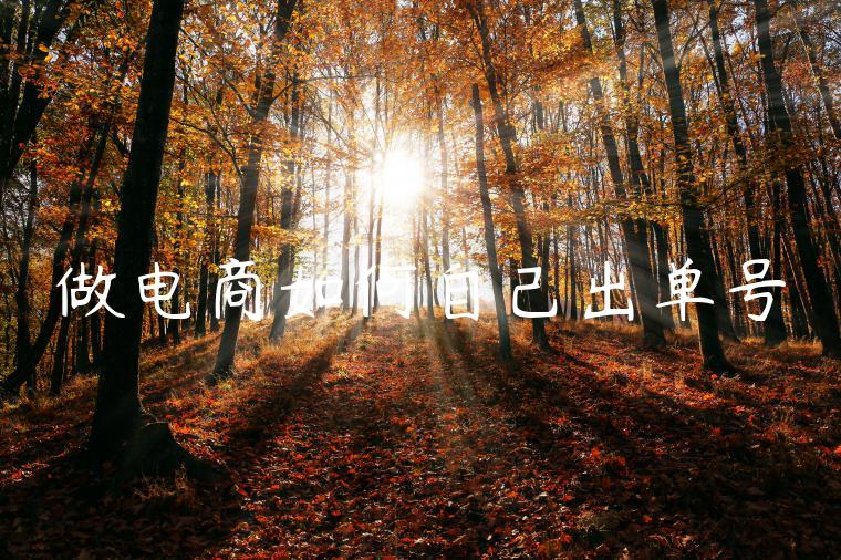 做电商如何自己出单号