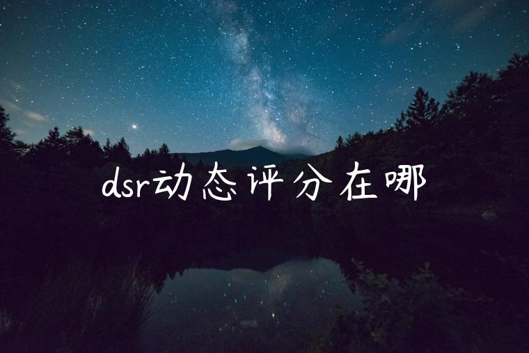 dsr动态评分在哪