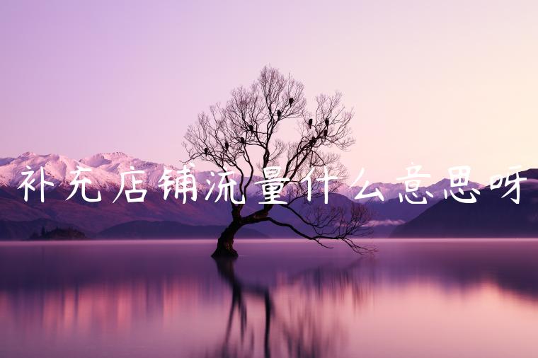 补充店铺流量什么意思呀 补充店铺流量什么意思呀