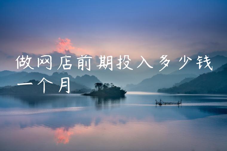 做网店前期投入多少钱一个月
