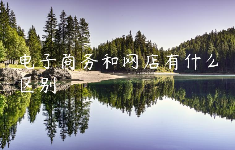 电子商务和网店有什么区别 电子商务和网店有什么区别