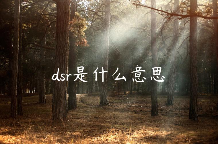dsr是什么意思 dsr是什么意思
